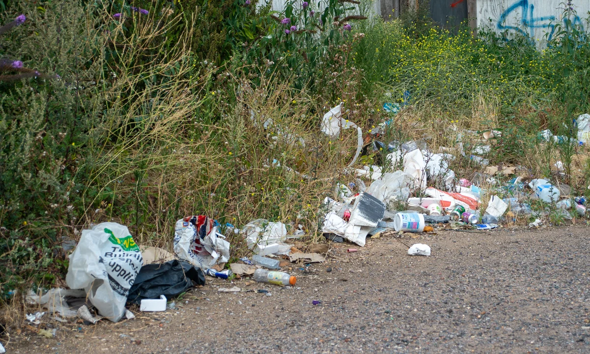 Litter